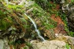 2014-07-05_Laengental-N-Hochweg (461). JPG